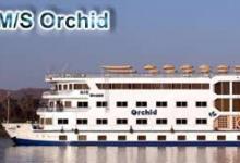 Orchid, Nile Cruise ex Luxor Return