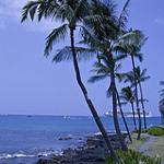 Kona Hawaii