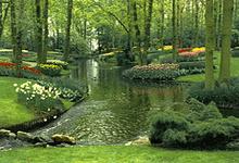 Keukenhof Gardens, Holland